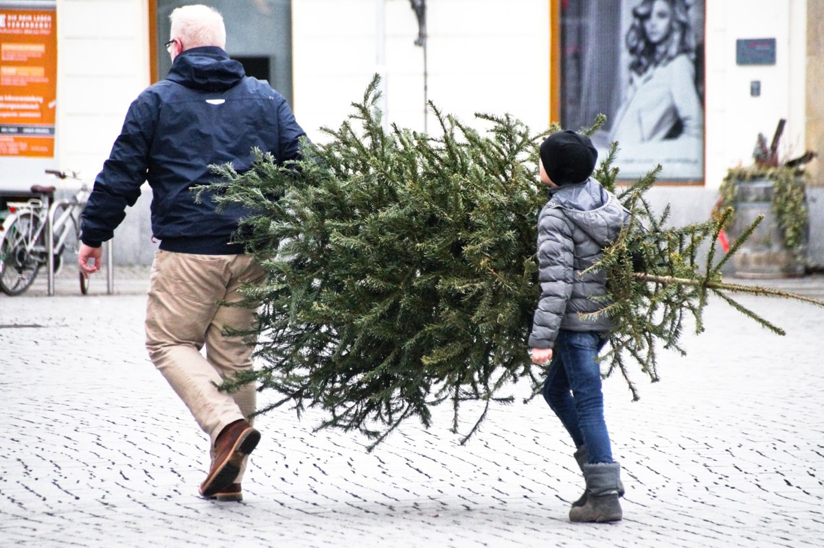 rear-view-christmas-tree-snow_a.jpg